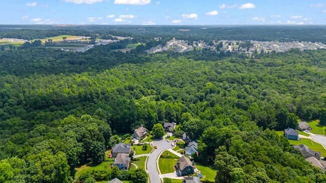 Building Photo - 3687 Vine Spgs