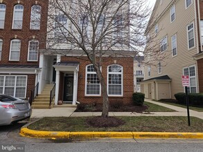 Building Photo - 922 Pine Forest Ln