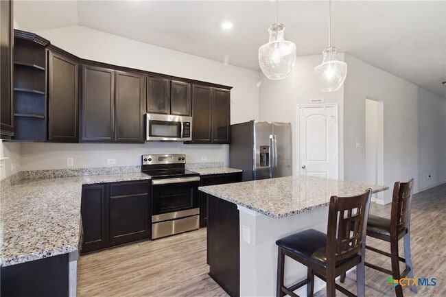 Building Photo - 1207 Amber Dawn Dr