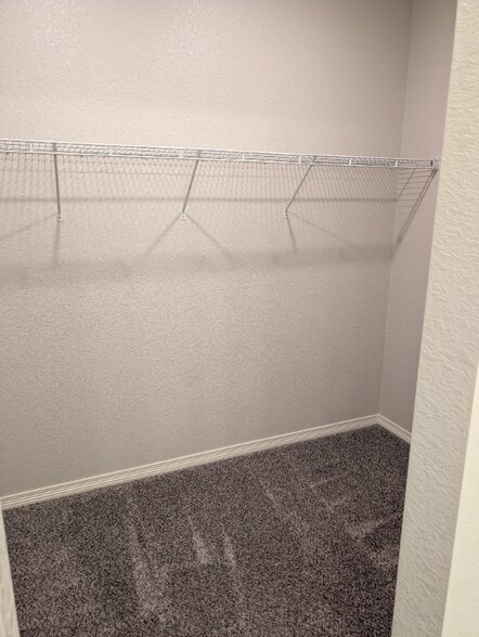 Building Photo - 3056 County Fair Ln