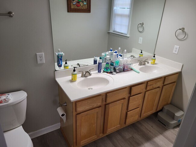 Building Photo - Beautiful 3 bedroom 2 bath home in Sneads Ferry - Seabird Estates