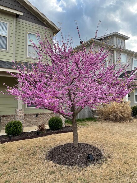 Building Photo - 3810 W Pawnee Rd