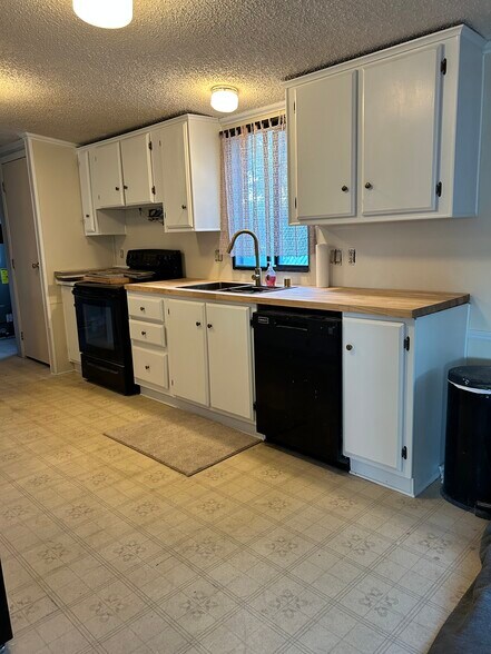 Brand new updated kitchen. New countertops, sink, faucet, plumbing, lighting, fridge, hardware. - 917 Castle Rock St