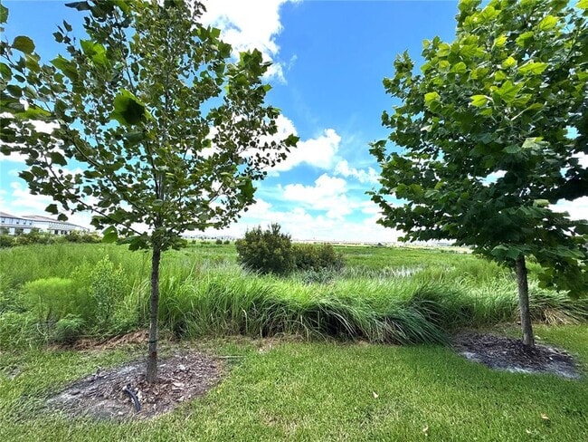 Building Photo - 32235 Powderpuff Mimosa Dr