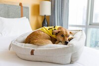 Building Photo - 1122 Madison St