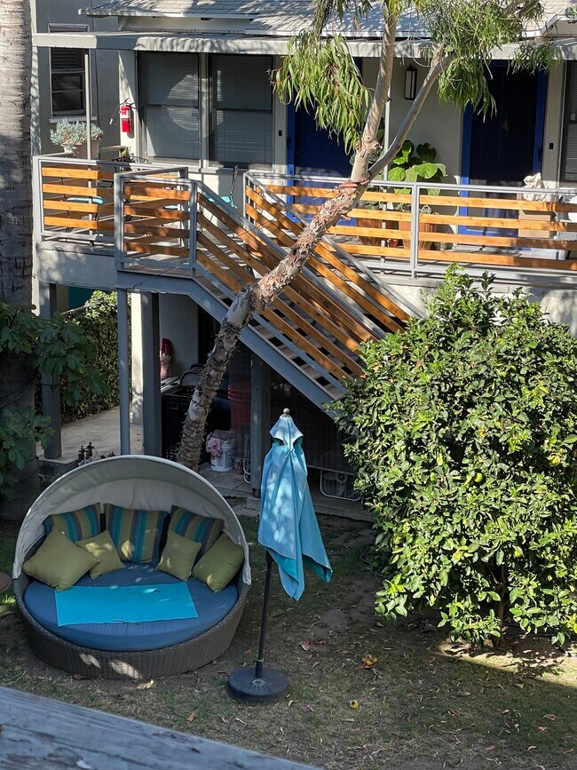 front yard - 1443 10th St