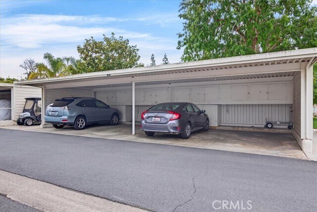 Building Photo - 214 Avenida Majorca