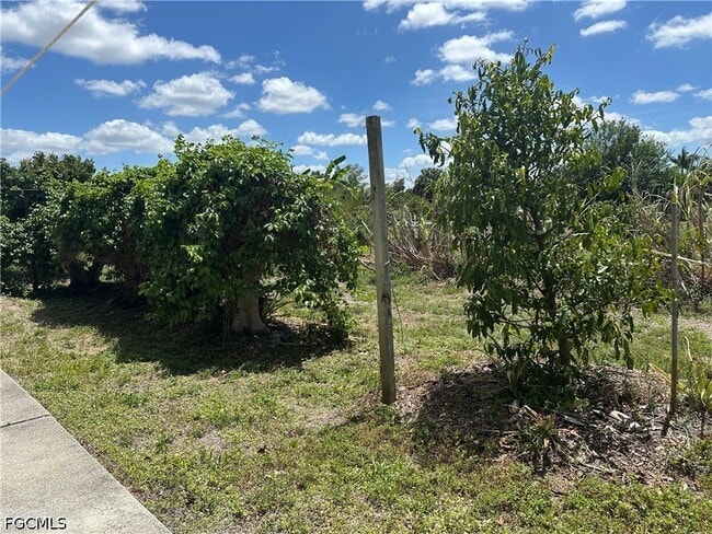 Building Photo - 13098 Ficus Tree Ln
