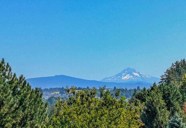 Building Photo - FOUR BEDROOM HOUSE IN LACAMAS SHORES WINTE...