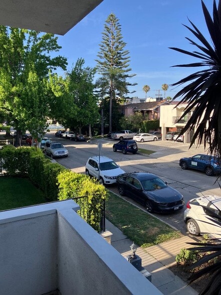 Tree lined street - 1123 S Wooster St