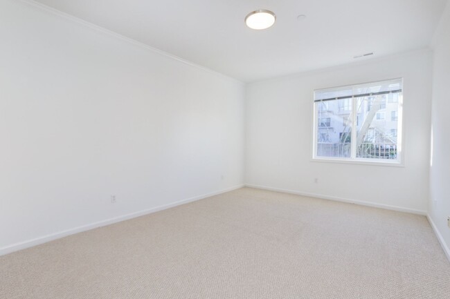 Building Photo - Spacious 3 Bed / 2 Bath Flat with garage parking in Outer Richmond. YouTube tour!