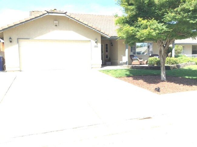 Building Photo - 1555 Morgan Dr