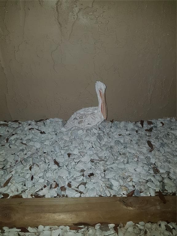 Building Photo - 311 58th Ave E