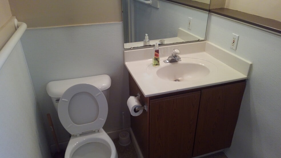 Lower bathroom - 1318 Albert Ave