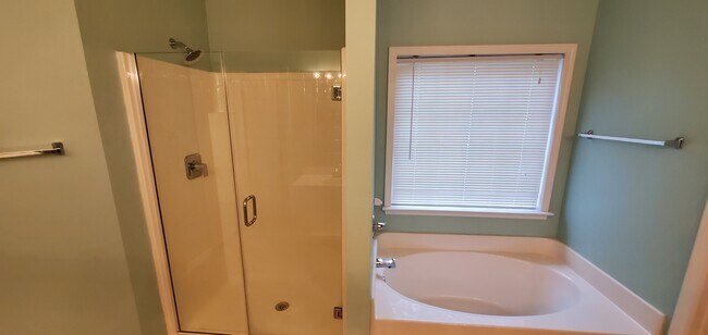 Master Shower - 412 Collingsworth Ln