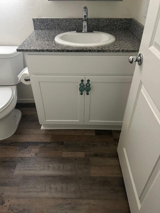 Building Photo - Cadence Single Story Dream!