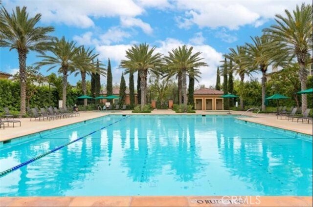 Building Photo - 109 Soaring Eagle