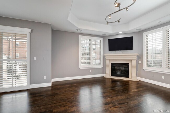 Living Area and Fireplace - 150 S Madison St