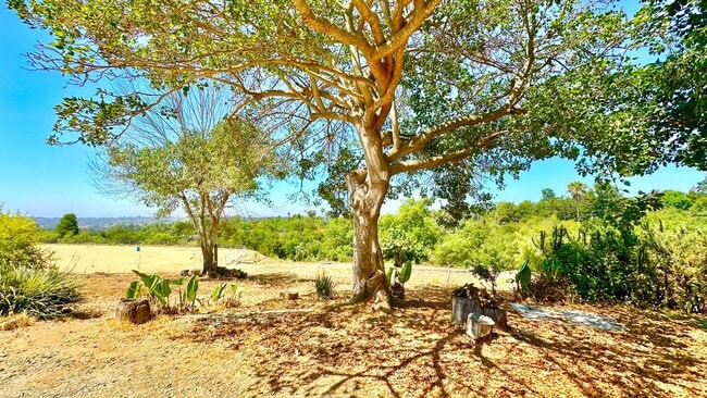 Building Photo - Lovely Single-Story Country Home on Wide Open Space with Detached Garage Space!