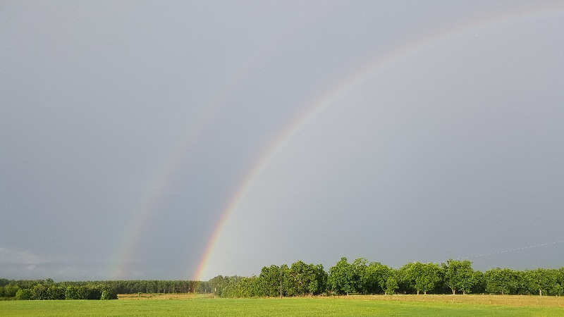 Building Photo - 990 Scotland Rd