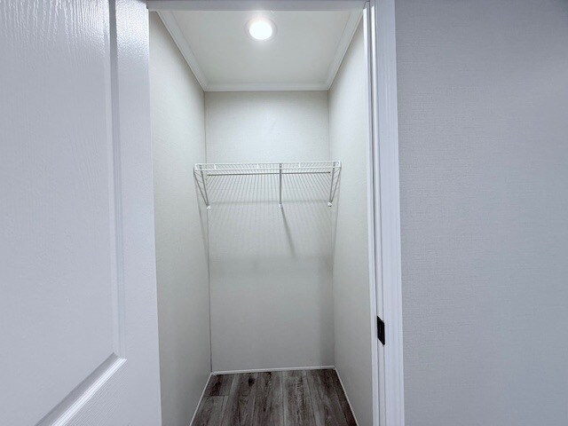 Building Photo - 29638 Danbury Ct