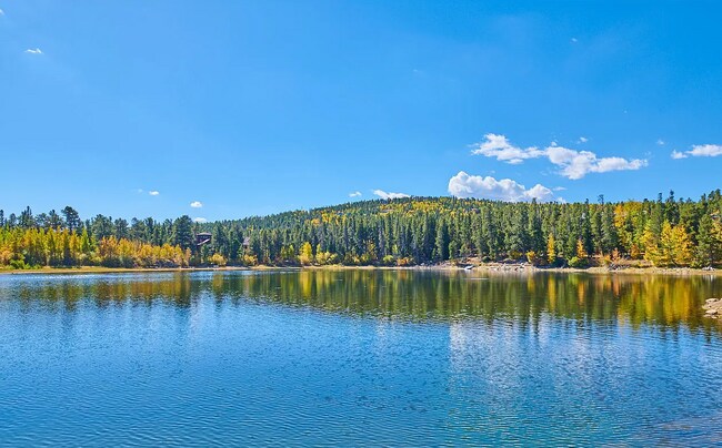 Building Photo - 173 Lodge Pole Way