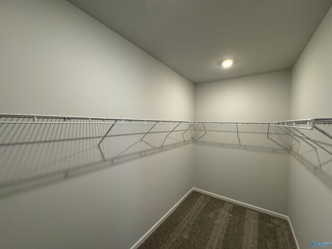 Building Photo - 229 Waylan Rdg Ln