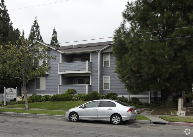 Building Photo - Webster Pines Apartments