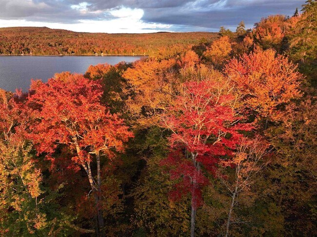 Building Photo - 670 Wayeeses Shore Rd Morgan