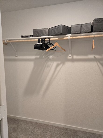 Building Photo - 7118 Shamrock Dome