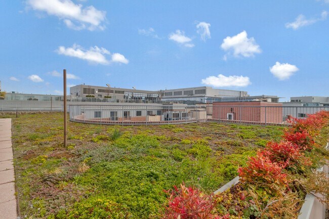 Building Photo - 1117 10th St NW