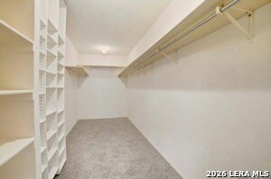 Building Photo - 3900 Creek Spring