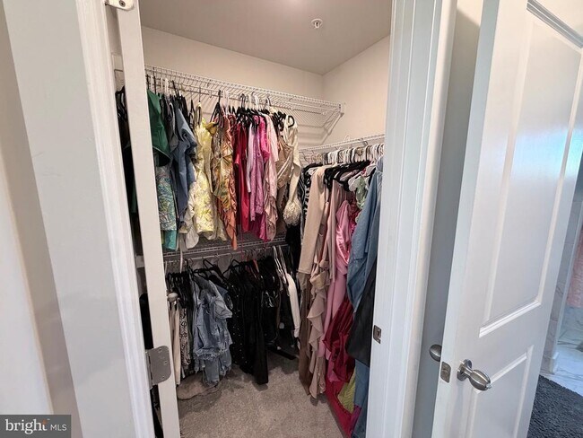 Building Photo - 2835 Bridgewater Dr