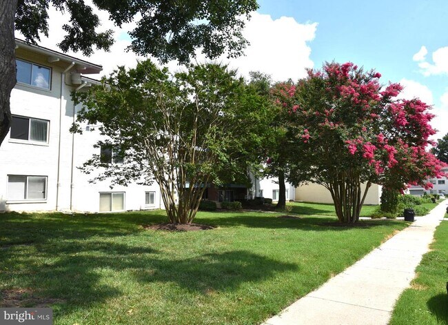 Building Photo - 11326 Cherry Hill Rd