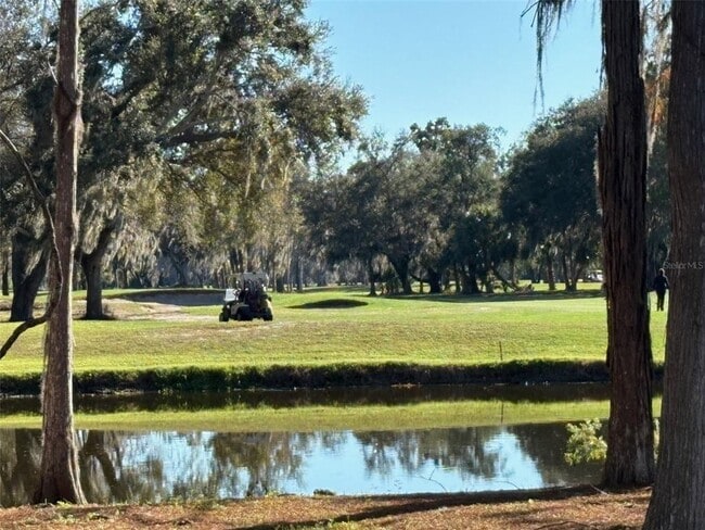 Building Photo - 36750 US Hwy 19 N