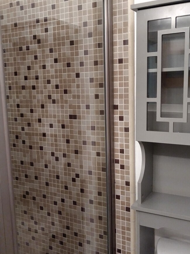 Master Bath with Shower - 206 15th St