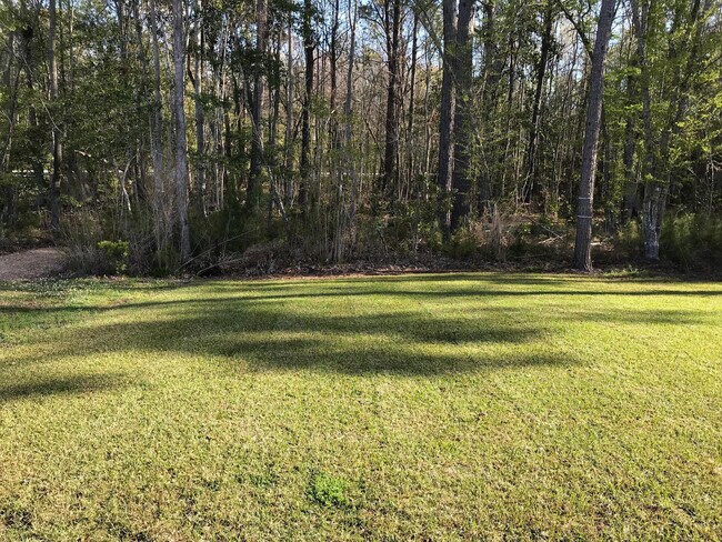 Building Photo - LARGE HOME WITH A POND LOT!
