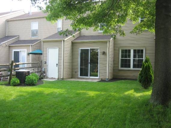 Backyard - 84 Hunt Dr