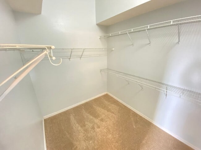 Building Photo - 3708 Molona Dr