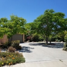 Building Photo - 805 Alpine Ct