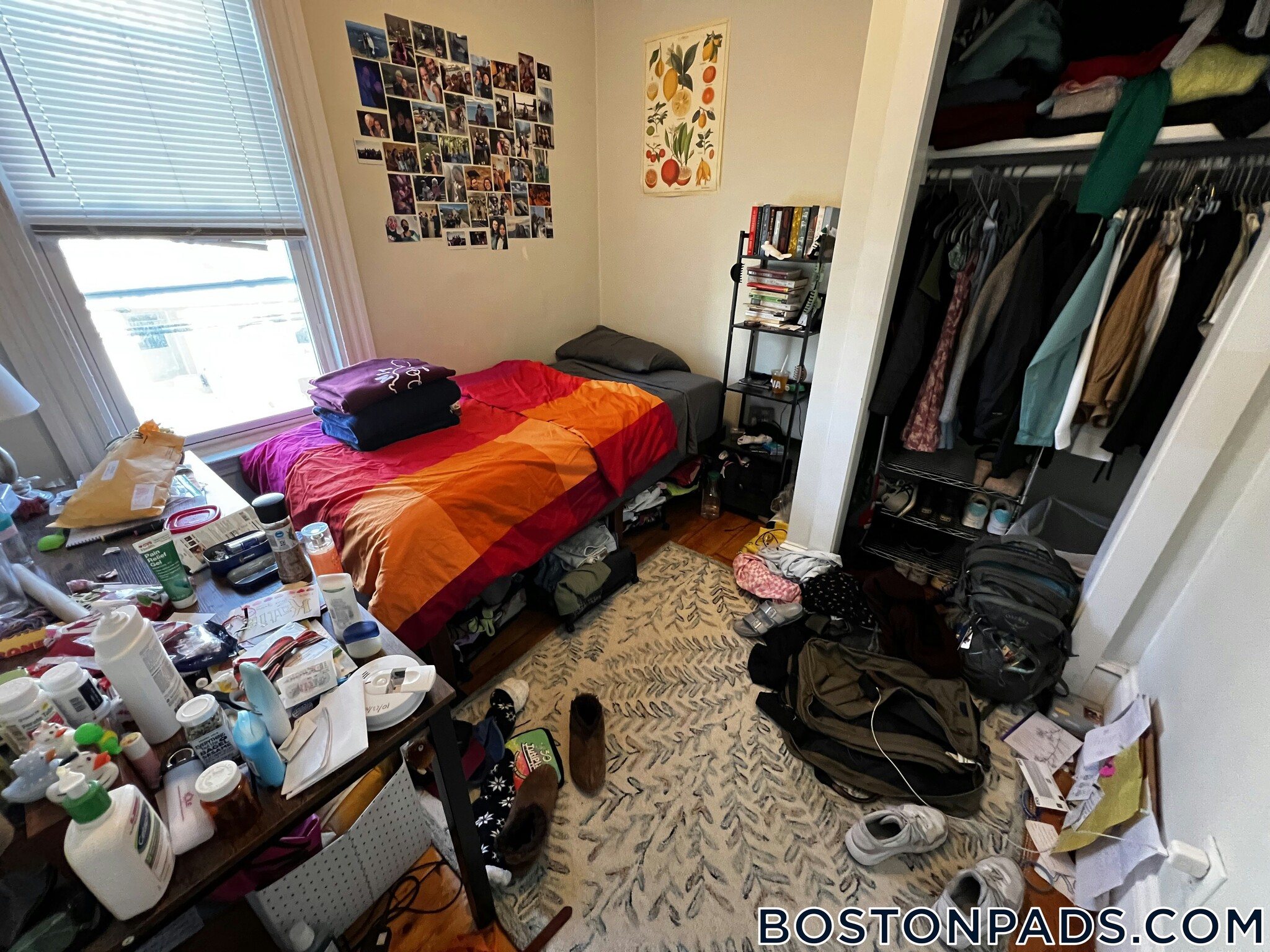 Building Photo - 231 Norfolk St