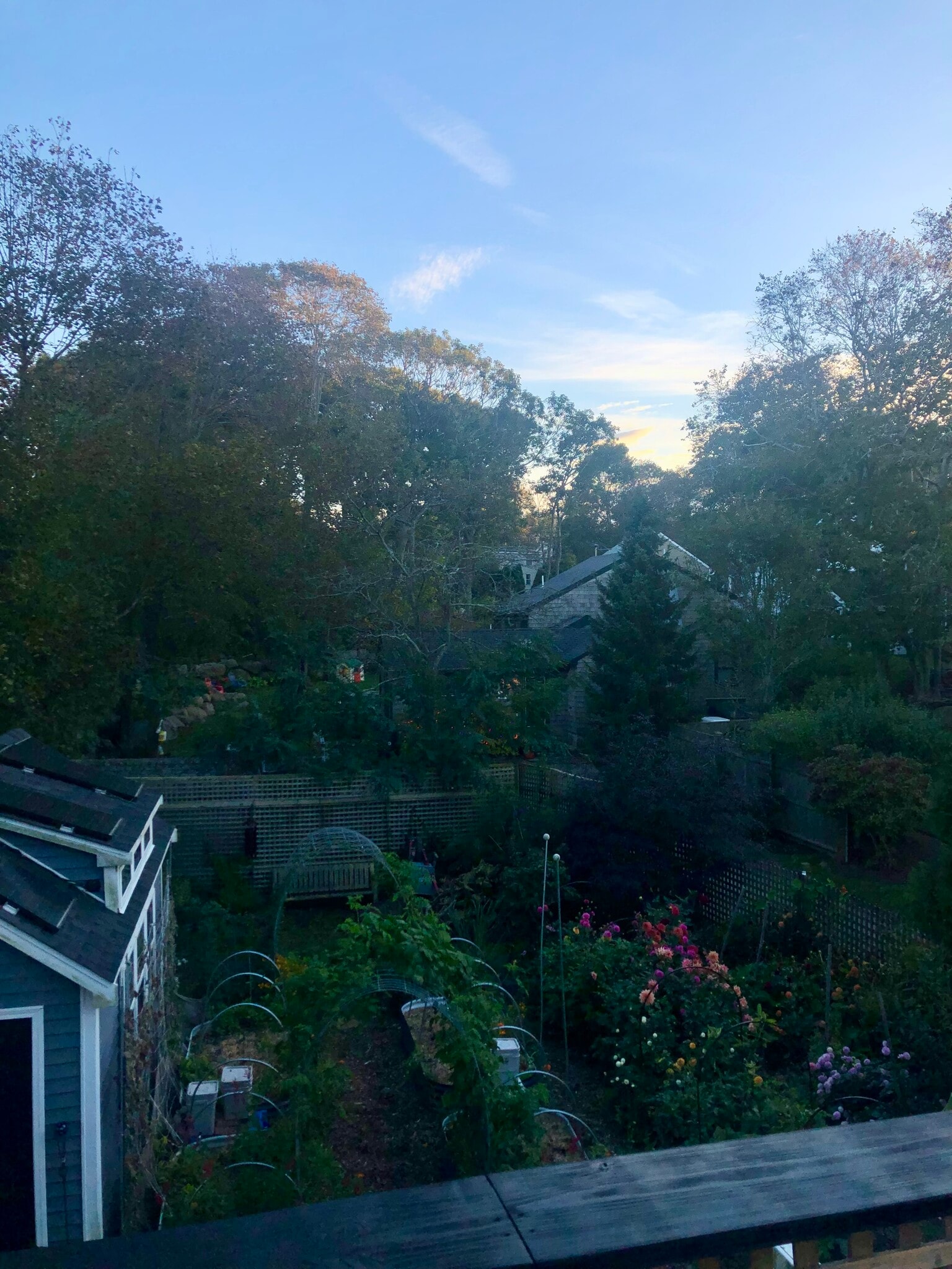 View from Deck - 13 Parker St