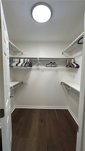 Building Photo - 10519 Timber Edge Dr