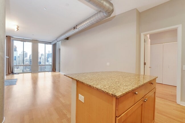 Building Photo - Gorgeous River North penthouse for rent!