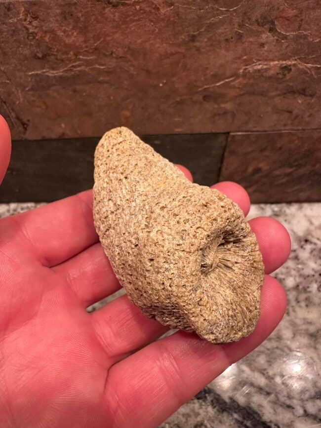 Building Photo - 4841 Julian Rd SW