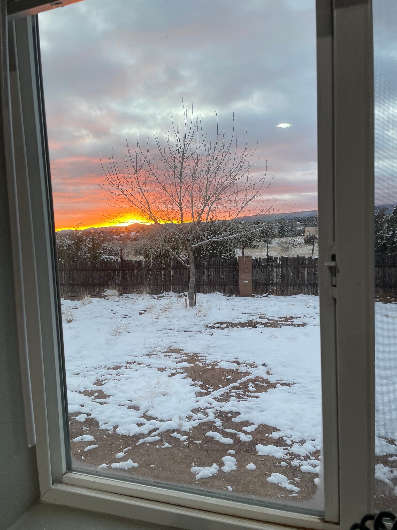 Building Photo - 36 Calle Enrique