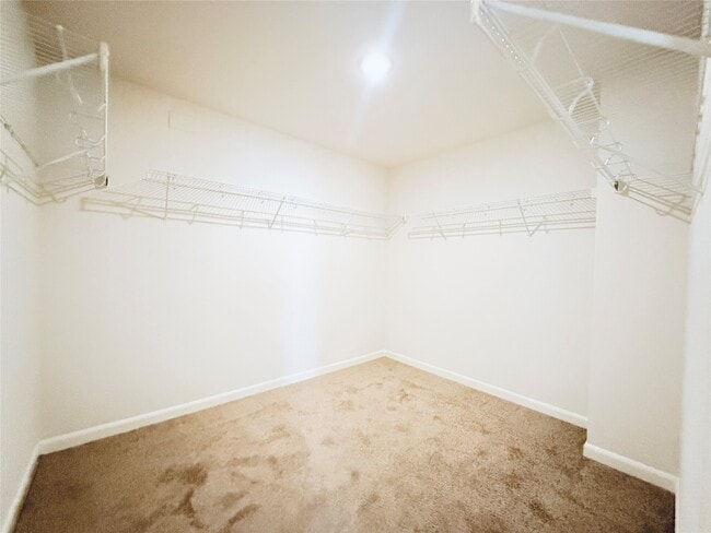 Building Photo - 431 Mantova Dr