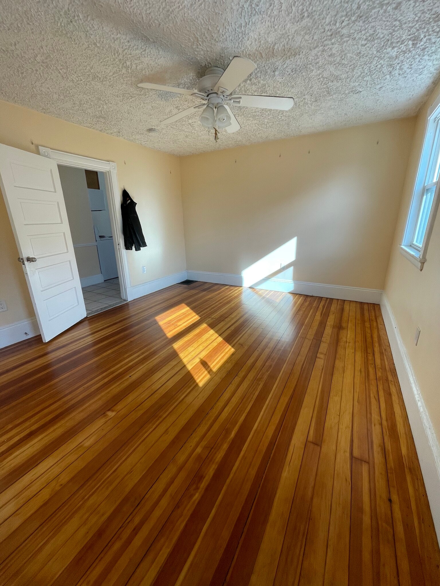 Building Photo - 31 Walter St