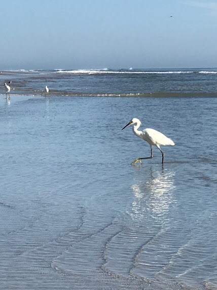 Building Photo - 1732 Ocean Shore Blvd