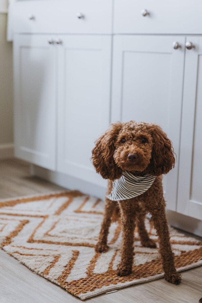 Building Photo - 308 Lamont St